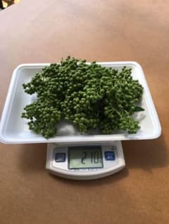 天然＊完全無農薬 山椒の実　200gのサムネイル