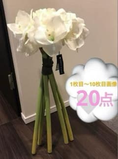 20点セット ❤︎ 新品 造花 HERVE GAMBS ＆ フランフラン 20点セット ❤︎ 新品 造花 HERVE GAMBS ＆ フランフラン - メルカリ