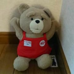 テッドのサムネイル