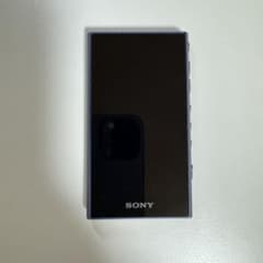 NW-A306 ウォークマン　DAPのサムネイル