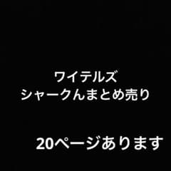 ワイテルズ モノパス まとめ売り シャークん - メルカリ
