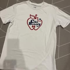 THE NORTH FACE メンズTシャツ　美品のサムネイル