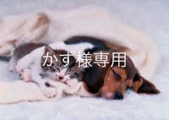 CASIO 腕時計  ☆のサムネイル