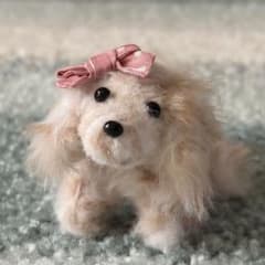 モールドール 犬 ミニチュアダックス ホワイト系のサムネイル