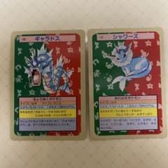 トップサンポケモンカード(ポケカ) ギャラドス（青）&シャワーズ（緑）セットのサムネイル