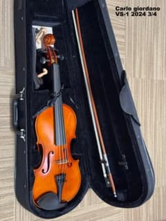 美品】Carlo giordano VS-1 2024 3/4 バイオリン本体 - メルカリ