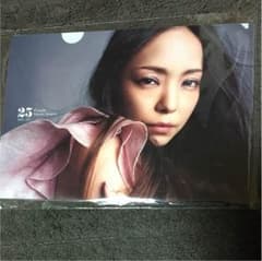 安室奈美恵 Finally~セブンイレブン予約付録~のサムネイル