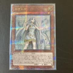 遊戯王OCG 白き乙女 クオシクのサムネイル