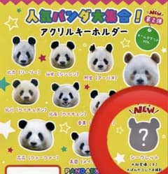 春節祭　ウエノ デ パンダ　レイレイ　蕾　シークレット　ガチャ パンダ 春節祭 ウエノ デ パンダ レイレイ 蕾 シークレット ガチャ パンダ