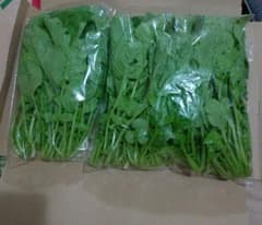新鮮採れたて！農家直送！レア商品！大根の間引き菜ネコポスいっぱいのサムネイル