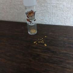土肥金山 砂金 15粒 - メルカリ