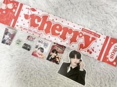 SEVENTEEN エスクプス センイル特典 マスターグッズ まとめ売り