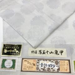 やまだ織 雪詩つづり 百五十山亀甲 雪輪文 単衣 本塩沢 未使用品 正絹 ガード やまだ織 雪詩つづり 百五十山亀甲 雪輪文 単衣 本塩沢 未使用品 正絹