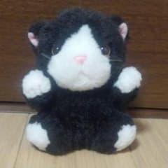 クロネコのぬいぐるみのサムネイル