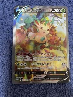 リーフィアv saのサムネイル