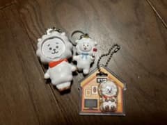 BT21 RJ 3점