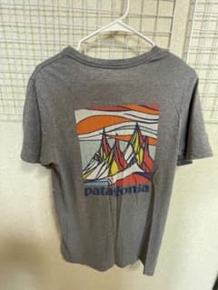 Patagonia Tシャツ グレーのサムネイル