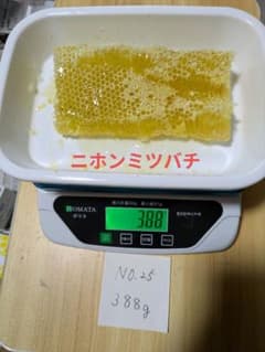 巣蜜　ニホンミツバチ　コムハニー　おいしい　黄色　388gのサムネイル