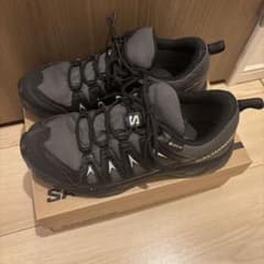Salomon X BRAZE GORE-TEX Wのサムネイル