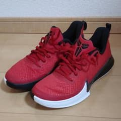 ナイキ マンバフォーカス Nike Mamba Focus 25.0cmのサムネイル