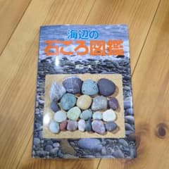 海辺の石ころ図鑑のサムネイル