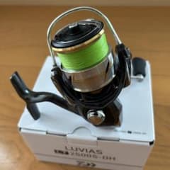 ダイワ スピニングリール ルビアス LT2500S-DH 2020年モデルのサムネイル