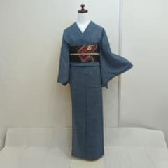 単衣 夏着物 美品 正絹 小紋 絽 裄66cm 上品 普段着 お稽古 - メルカリ