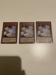 遊戯王 灰流うらら　スーパー　3枚のサムネイル