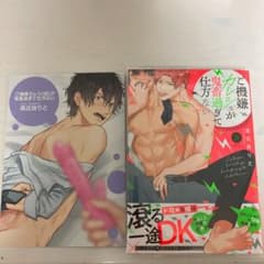 ご機嫌カレシ(仮)が鬼畜すぎて仕方ない　高比良りと　アニメイト特典　リーフレットのサムネイル