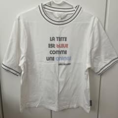 ホワイト Tシャツ 38サイズ ストライプ襟のサムネイル