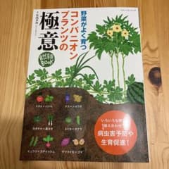 ［美品］野菜がよく育つ　コンパニオンプランツの極意☆のサムネイル