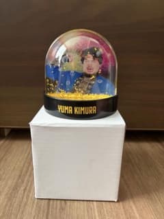 YUMA KIMURA スノードームのサムネイル