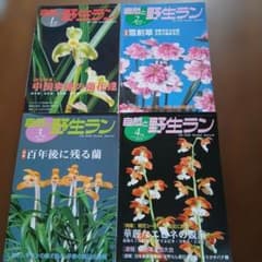 自然と野生ラン 2010年 1月号〜4月号 4冊セットのサムネイル