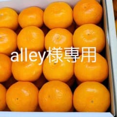 alley様専用のサムネイル