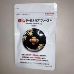 ターミナリアファースト プロフェッショナル4・120粒入＜30回分＞4個セット ターミナリアファースト プロフェッショナル4 [ リニューアル最新版