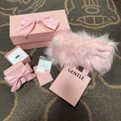 GENTLE MONSTER サングラスケース　JENNIE コラボのサムネイル