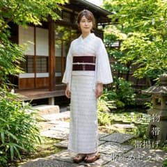 絽　紗　夏着物　小紋　4点セット　立涌　絣　バチ襟　洗えるお着物　夏2のサムネイル