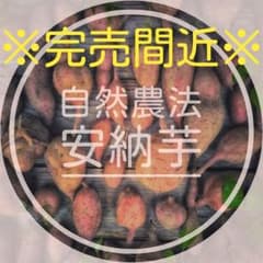 ■希少■　数量限定　自然農法　自然栽培　安納芋　2キロ以上　無農薬　オーガニックのサムネイル