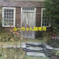ふーちゃん様専用のサムネイル