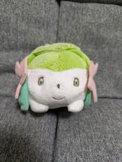 シェイミ ポケモンキャンバス 2010年 ポケモンセンター シェイミ ポケモンキャンバス 2010年 ポケモンセンター - メルカリ