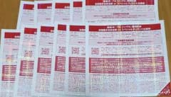 欅坂46 全国握手券 11枚のサムネイル