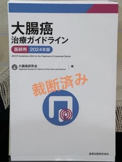 大腸癌治療ガイドライン 2024年版　裁断済みのサムネイル