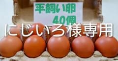 源さんの平飼い卵.M〜2L40個10個入り4パック 朝採れ新鮮 常温発送