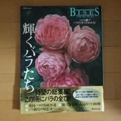 ひなこ様専用。輝くバラたち : ビズ・ベストセレクションのサムネイル