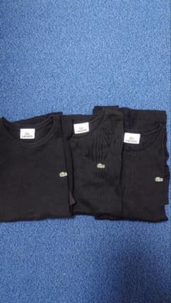 LACOSTE ブラック Tシャツ 38サイズ 3枚セットのサムネイル