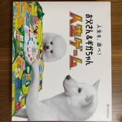 の様専用 人生ゲームのサムネイル