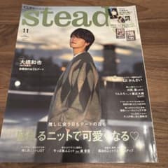 steady.(ステディ.) 2023年11月号のサムネイル
