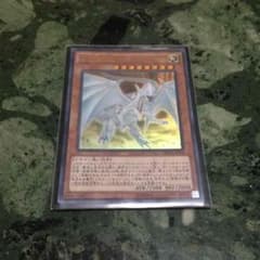 遊戯王 白き霊龍のサムネイル