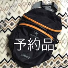 西島様専用★アークテリクス リュックのサムネイル