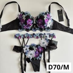 サルート ちはやふる D70/M/M BL 81 P-upブラ ソング ガーター - メルカリ